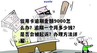 信用卡逾期9000元的后果与起诉时间：一份全面解答