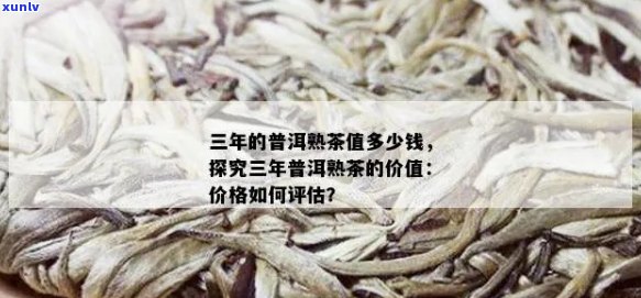 三年熟普洱茶的价值、价格以及品鉴指南