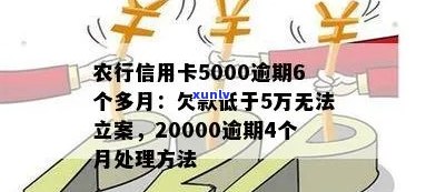 农行信用卡5000逾期6个多月：总欠款、处理办法和可能影响