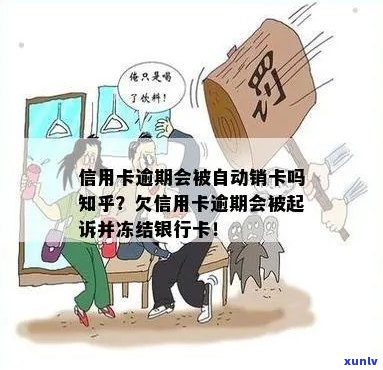 信用卡逾期会冻结家属卡吗-信用卡逾期会冻结家属卡吗知乎