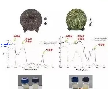 他汀类与普洱茶：相辅相成还是相互制约？