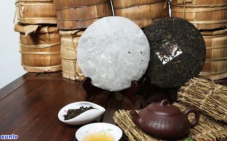 白普洱茶的保存期限有多长时间？如何确保茶叶品质？