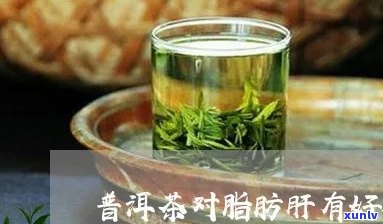 喝普洱茶对脂肪肝的减脂作用及其可能的风险与注意事项