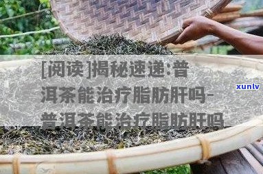 喝普洱茶对脂肪肝的减脂作用及其可能的风险与注意事项