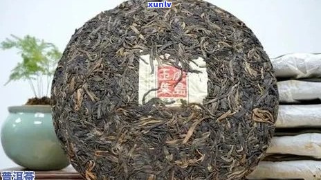 普洱茶一饼有多重：尺寸、重量及种类详解