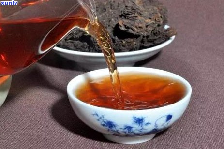 普洱散茶饼价格解析：影响因素、市场行情与投资价值