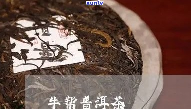 牛哥普洱茶吧怎么样