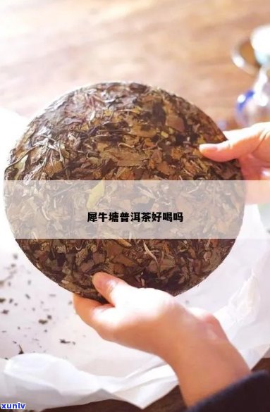 牛哥普洱茶吧怎么样