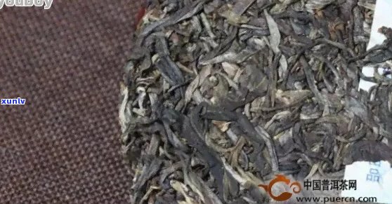 普洱茶古树茶价格及市场行情分析：一斤多少钱？