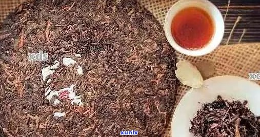 普洱茶饼含钾磷高吗？如何选择合适的普洱茶饼？