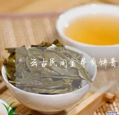 云南原生态普洱茶：琼韵金芽贡饼的精工艺与独特风味