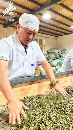 普洱茶级非遗传承人名单公示