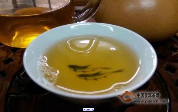 古树普洱茶品饮体验：越喝越甜的秘密及其冲泡 *** 与功效解析