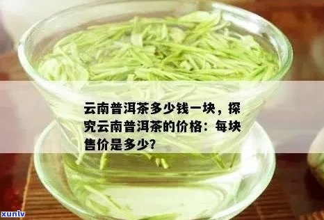 云南普洱茶场：寻找价格更低的茶叶供应商