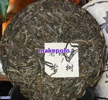 古树普洱茶珍藏版：品质、 *** 工艺与收藏价值全面解析