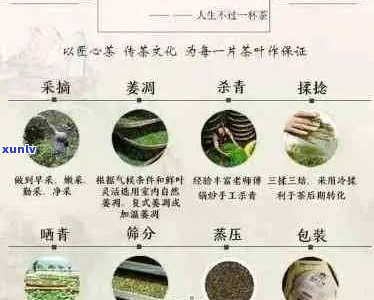 古树普洱茶珍藏版：品质、 *** 工艺与收藏价值全面解析