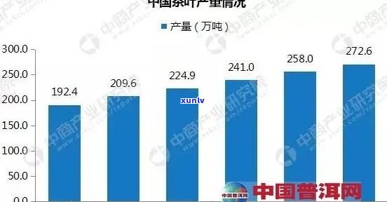 中茶普洱茶市场价格分析：行业动态与未来趋势