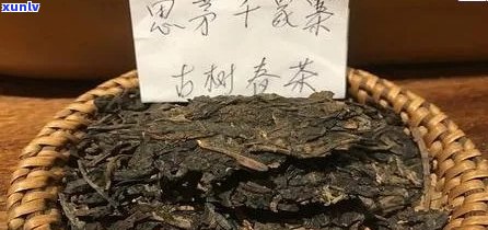 千家寨普洱生茶价格全解析，一站式查询服务，告别选择困难！。