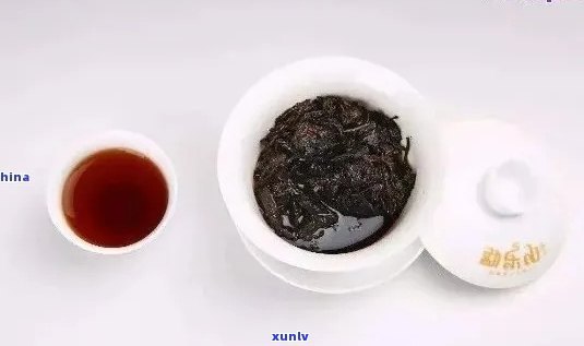 瓷泡普洱茶有用吗