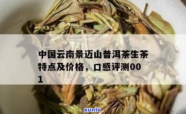 云南普洱茶价格，景迈山茶叶品种，品饮体验，购买建议，市场行情分析