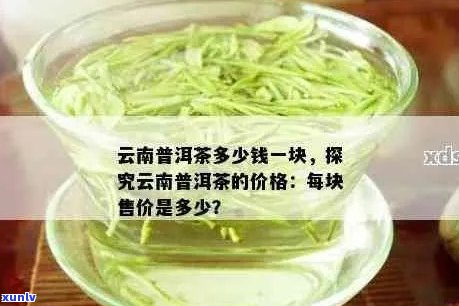 云南普洱茶价格，景迈山茶叶品种，品饮体验，购买建议，市场行情分析