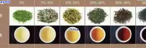 泰普洱茶品种全解：从入门到精通，探索普洱茶的世界