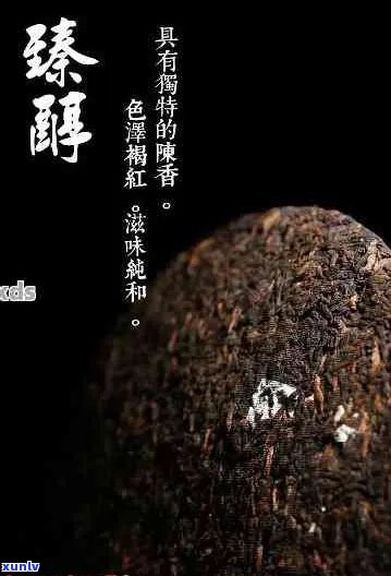 聘号普洱茶：一款具有悠久历和文化底蕴的茶叶品种详解