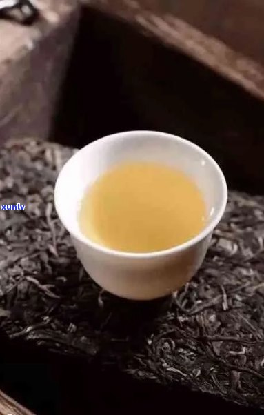 聘号普洱茶哪年重新生产：古树熟茶的魅力与鉴别