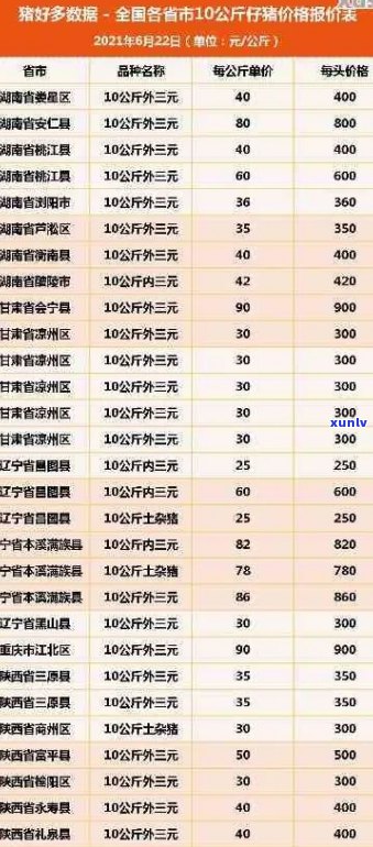 2016年聘号普洱茶价格及选购攻略：了解高品质茶叶的市场行情与购买建议