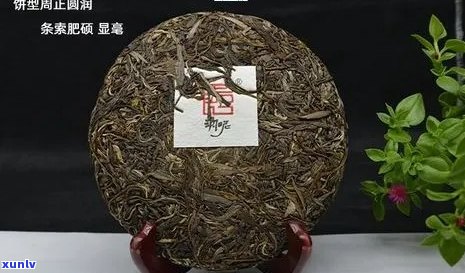 云南普洱茶中国结价格解析：品质与价值的权