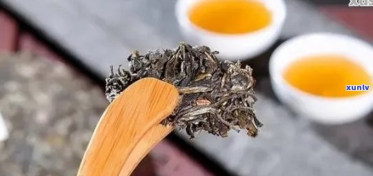 裕岭普洱茶官方网站：探索普洱茶的魅力、品种与品饮 *** ，解答您的所有疑问