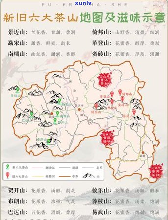 云南普洱茶八大茶山详解：从产地、品质到选购指南一应俱全