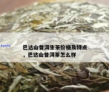 巴达山普洱茶1公斤价格解析：市场行情、品质与口感的全方位评价