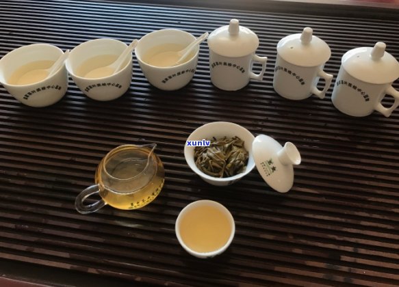 普洱茶巴达山价格：古树茶的不受欢迎与独特口感特点