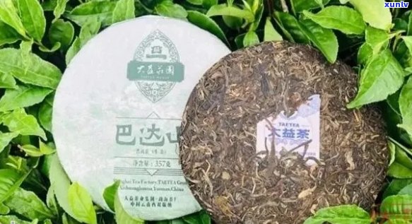 巴达山普洱茶：品质越却未获广泛认可的原因探究