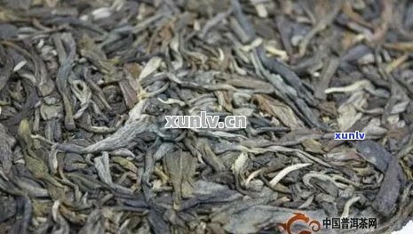 一芽一叶与一芽二叶普洱茶的对比分析：品质、口感和收藏价值