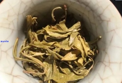 一芽一叶与一芽二叶普洱茶的对比分析：品质、口感和收藏价值