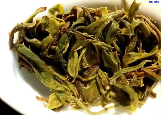 普洱茶一芽一叶特点