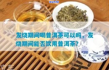 普洱茶十大发烧