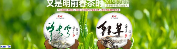 彩程普洱茶时旗舰店