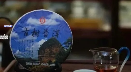 云南顶级普洱茶：古树茶韵品鉴之旅