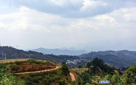 云南普洱茶：探索十大山头的茶叶魅力与 *** 工艺，品味普洱茶的无穷滋味