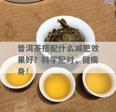 普洱茶减肥法：科学搭配与饮用技巧，让你轻松瘦身