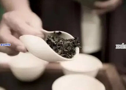 新探究普洱茶碗的冲泡次数与口感，如何才能品出滋味？