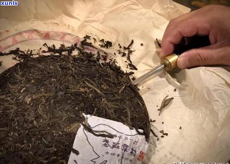 普洱茶碗泡法：一次冲泡几泡？碗大小如何选择？放多少茶叶合适？