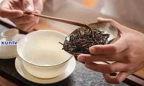 普洱茶碗冲泡 *** ：如何正确泡制普洱茶？