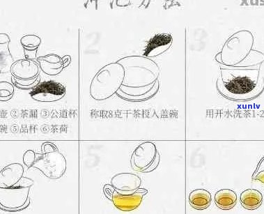 普洱茶碗冲泡 *** ：如何正确泡制普洱茶？