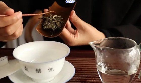 普洱茶碗一般几泡