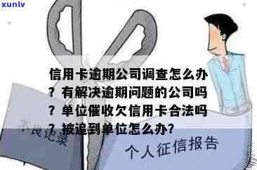 交行信用卡逾期告知单位怎么办理？