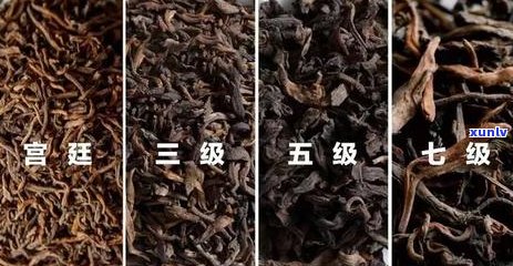 300元一饼普洱茶：品质、性价比与投资价值的深度解析